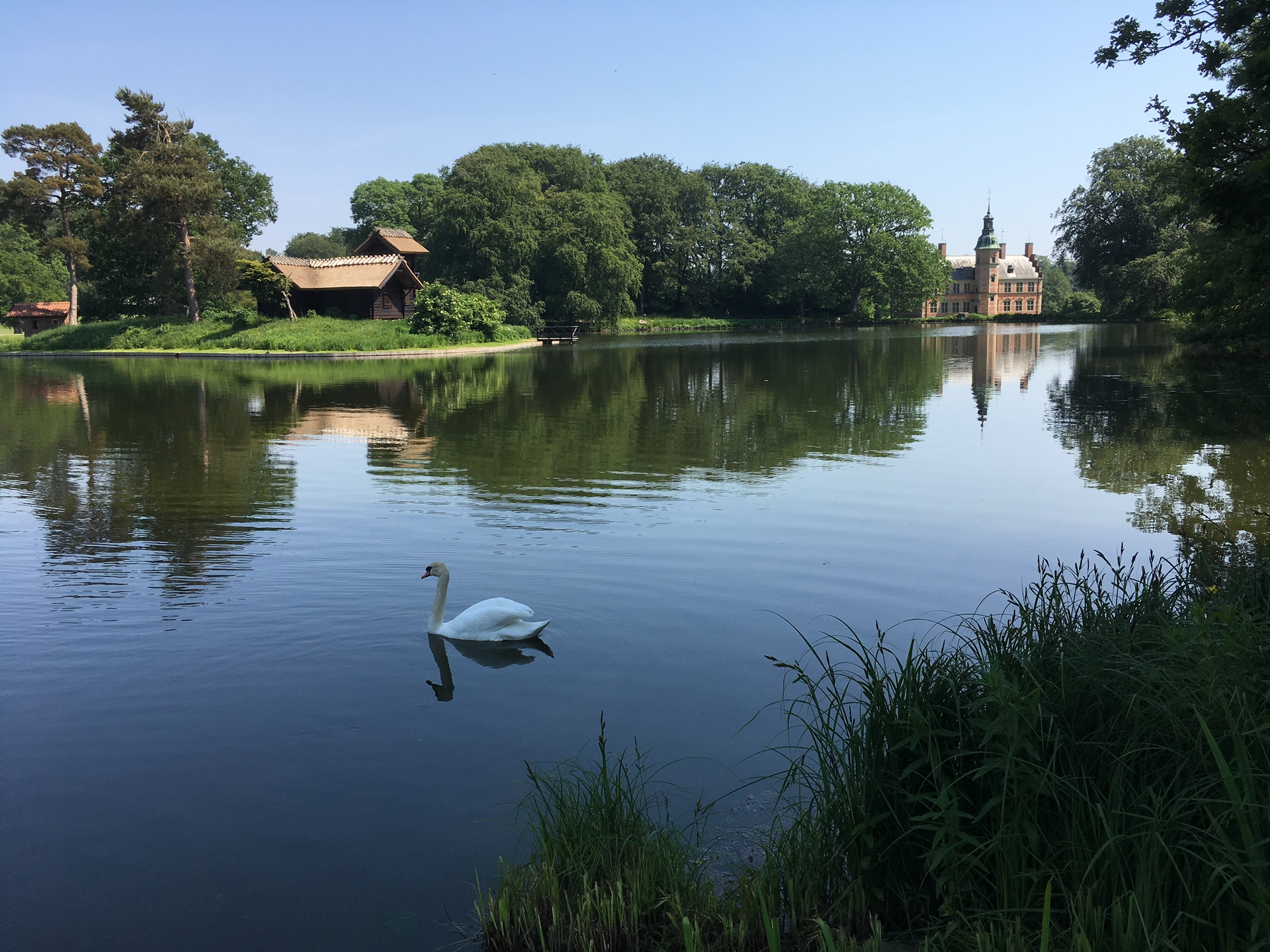 Slotsøen i Hillerød med en svane på stille vand og Frederiksborg Slot i baggrunden
